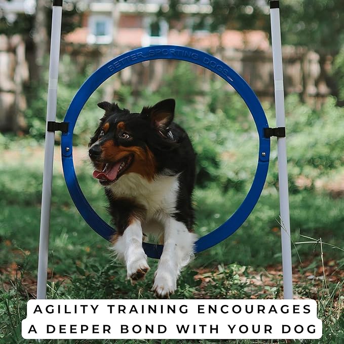 Better Sporting Dogs 4 Pack Adjustable Dog Agility Jumps w/Safety-Focused Features | 2 Bar Jumps with Cup Strips | 2 Breakaway Tire Jumps