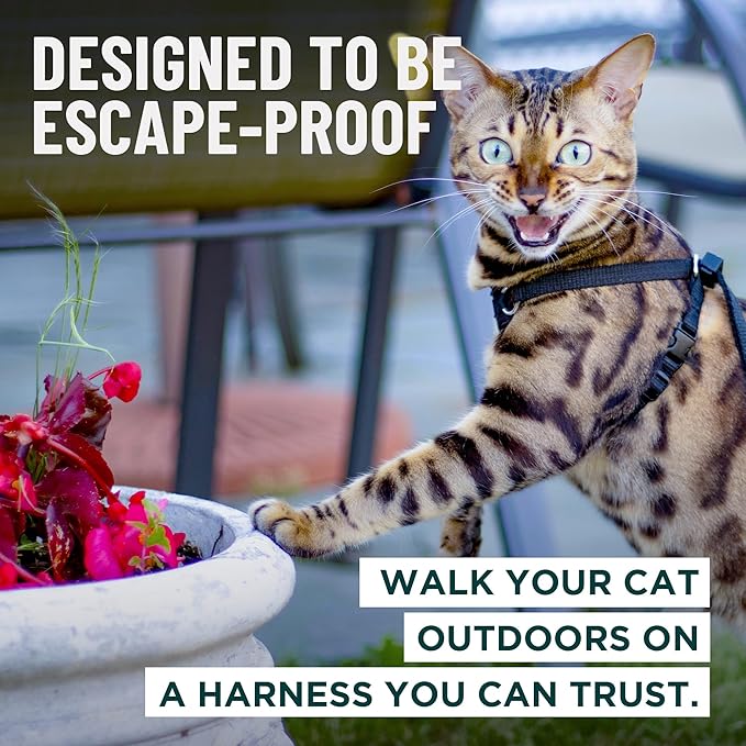 Houdini™ Escape Proof Kitten Harness and Leash Set by OutdoorBengal – Extra Small – Comfy, Adjustable and Lightweight - Houdini Cat Harness Escape Proof for Small Cats + Cat Leash 6ft (Multicolor, XS)