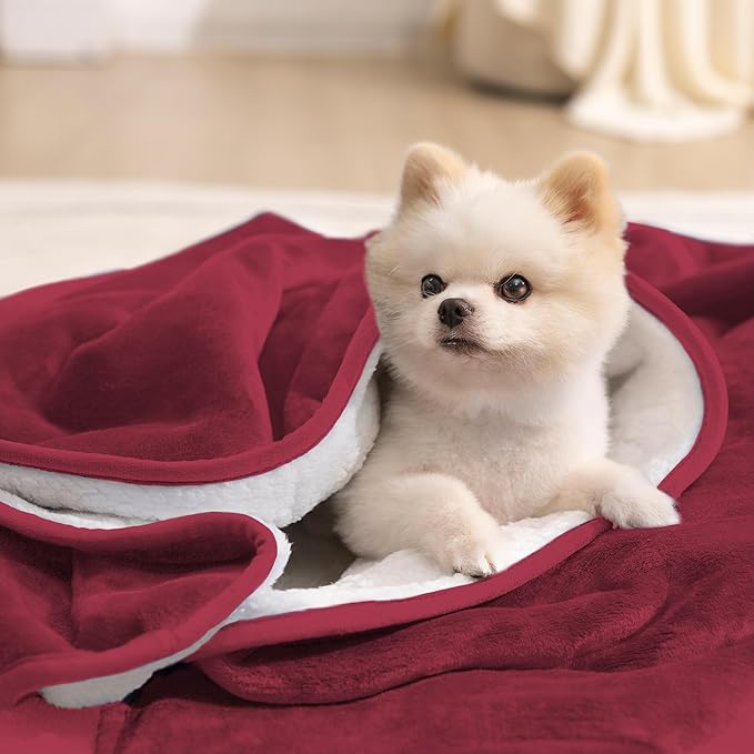 gogobunny Waterproof Pet Blanket for Small Dogs and Cats, Reversible Sherpa Fleece Soft Plush Throw for Couch Protection, Washable Furniture Protector (Romantic Red, 30x30 inches)