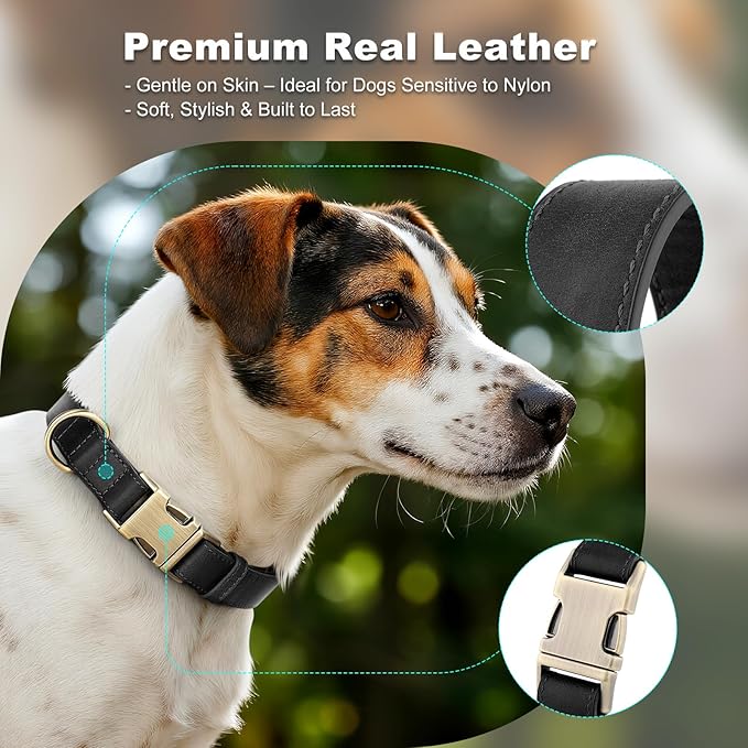 Plutus Pet Genuine Leather Dog Collar – Adjustable Pet Collar with Quick Release Metal Buckle, Soft Real Leather for Small Medium Large Dogs, Heavy Duty & Skin-Friendly (Black, S)