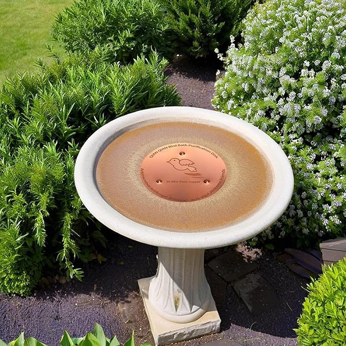 QIANQIAN Bird Bath Copper Disk, Copper Bird Bath Purification Disk (2, Copper)