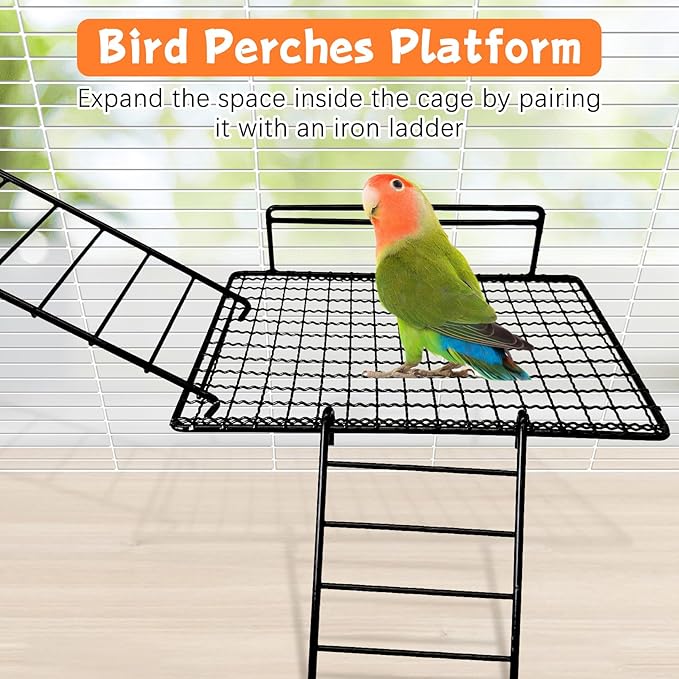 BNOSDM Extra Large Stainless Steel Grid Platform for Parakeet 4 PCS Bird Perches Platform Parrot Stand with Climbing Ladder Bird Cage Accessories for Small to Large Bird (Screw Style-XL)