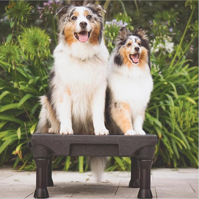 Blue-9 Pet Products KLIMB Dog Training Platform and Agility System, Durable and Portable for Indoor or Outdoor Use, Made in The USA, Black