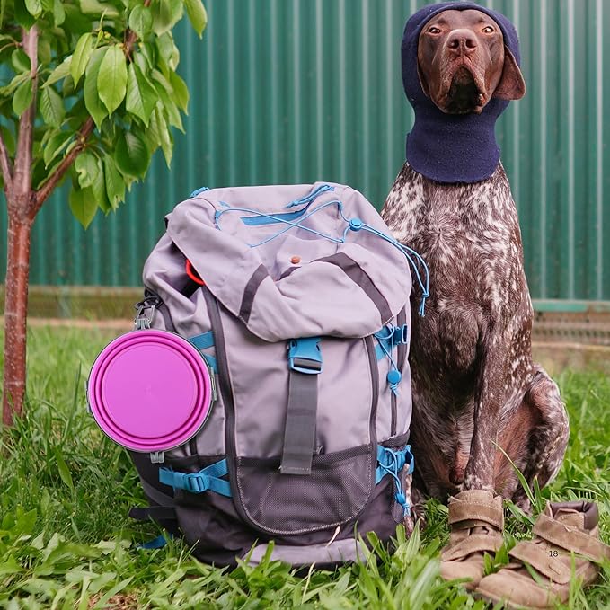 Loving Pets Bella Roma Collapsible Dog Bowls - Silicone Dog Bowls, Foldable Bowl, Puppy Essentials & Hiking Pet Supplies Great for Home & Travel (Pink, Small)