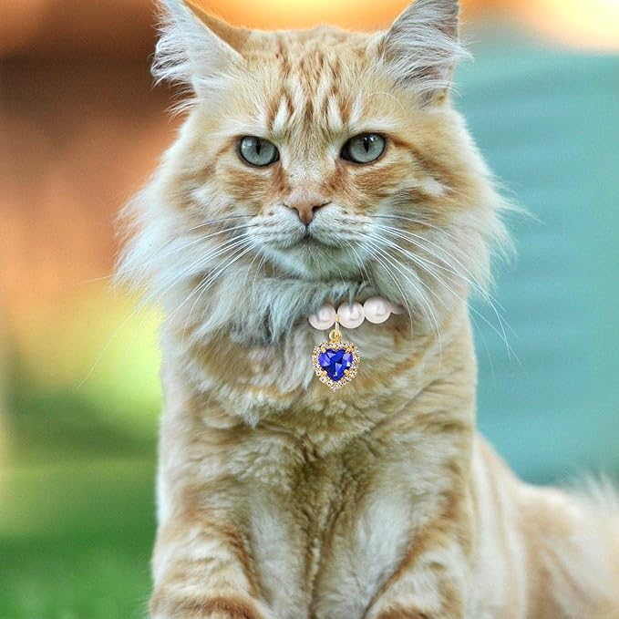 2pcs Cat Dog Pearl Collar, Small Heart Shape Rhinestone Pet Necklace, Adjustable Wedding Party Pet Jewelry Accessories for Puppy Small Cats- Blue & Green
