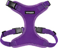 Voyager Step-in Pet Harness - All Weather Mesh, Adjustable Step in Harness for Cats and Dogs by Best Pet Supplies - Purple, XS