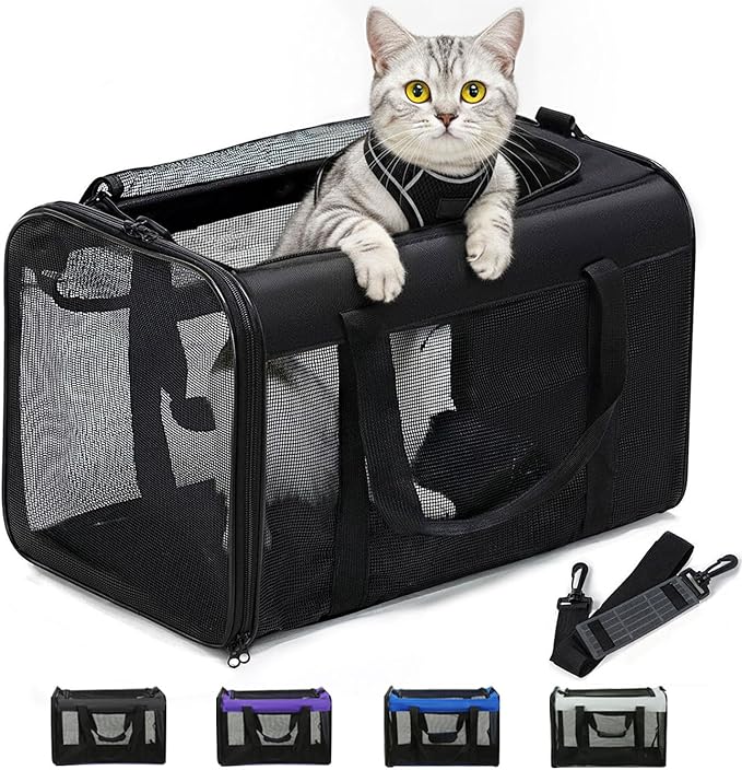 Cat Carrier Bag,Soft-Sided Pet Carriers for Dogs with 4-Sided Mesh,Airline Approved Cat Transport Carrier for Small&Medium Cats Kitten Puppy Up to 15Lb,Collapsible Cat Travel Carrier-M,Black