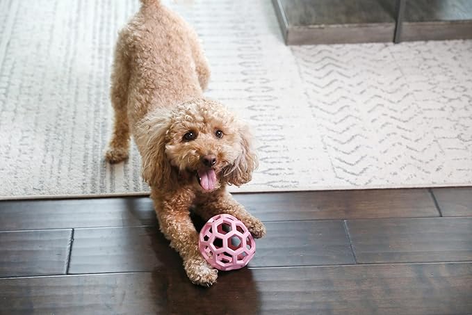 JW Pet HOL-ee Roller™, Dog Toy Puzzle Ball, Natural Rubber, Medium (4.5” Inch Diameter), Pink