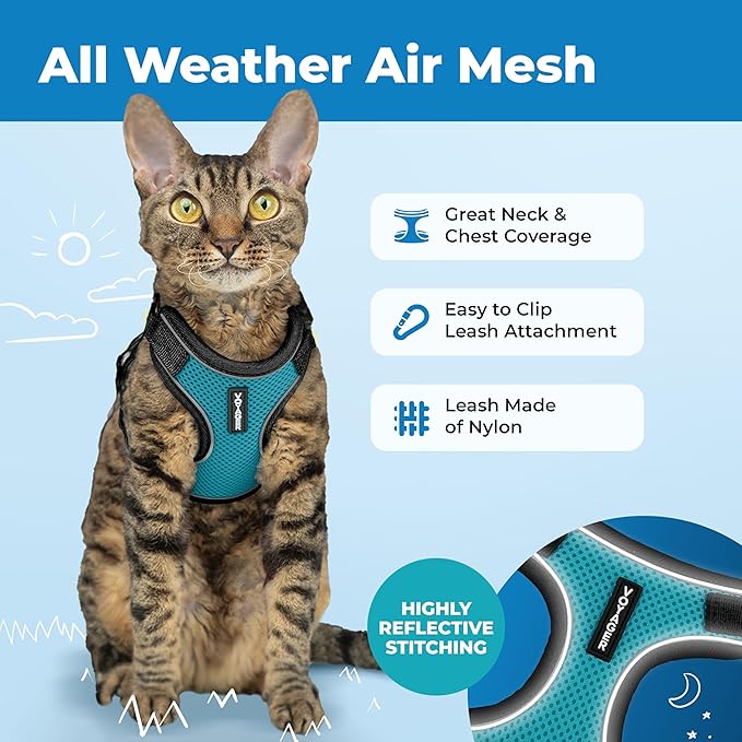 Voyager Escape-Proof Step-in Lock Cat Harness & 5ft Neoprene-Handle Leash Set All-Weather Mesh with Reflective Stitching for Small to Large Cats by Best Pet Supplies, Black Trim-Turquoise (327), XXS