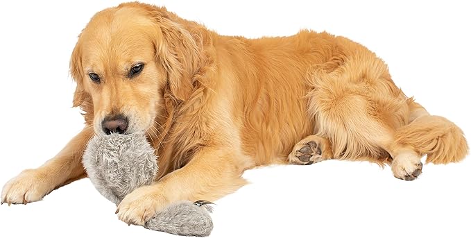 Hyper Pet Doggie Tail Interactive Plush (Wiggles, Vibrates, and Barks – Dog Toys for Boredom and Stimulating Play)