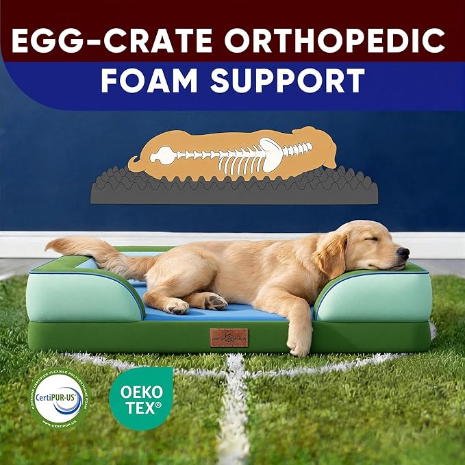 Comfort Expression Orthopedic Dog Bed for Extra Large Dogs 45x35 Inch, Waterproof Egg Crate Foam XL Pet Bed with Removable Bolsters, Dog Couch with Washable Cover & Non-Slip Bottom, Boston