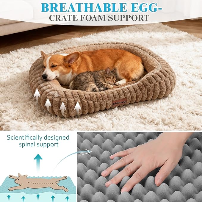 Cute Washable Dog Bed for Small Dogs -Soft Plush Calming Puppy & Cat Bed with Anti-Slip Bottom, Rectangle Anti-Anxiety Puppy Kennel Bed with Handle, 25" x 21" x 4", Brown