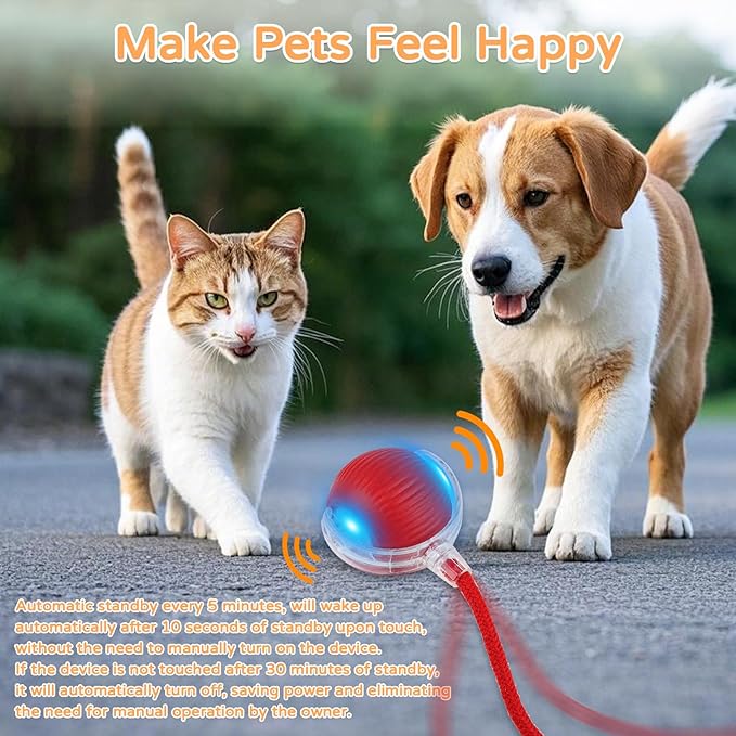 2025 New 2Pack Cat Ball Kitten Toys for Indoor Interactive Kitty Ball Toy Speedy Tail 360° Automatic Rolling(Red Grey)