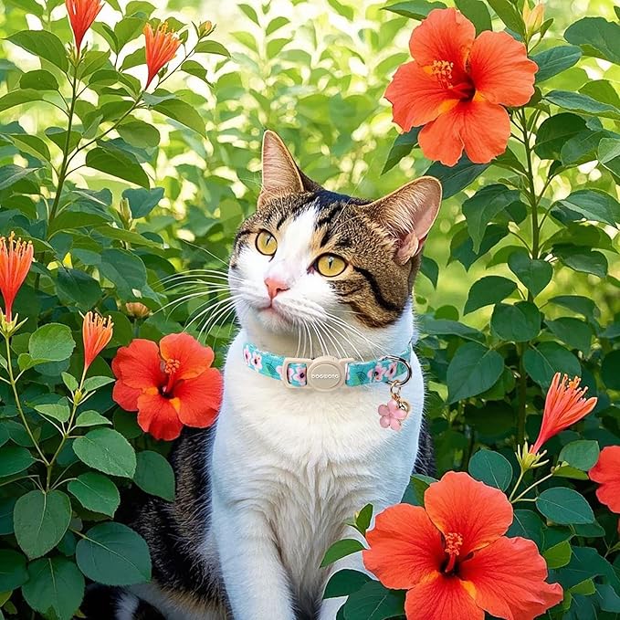 Cat Collar,2 Pack Pink Flower Cat Collars Breakaway with Bell, DOGWONG Safety Buckle Pink Flower Cat Collar for Girl Female Cats，Adjustable 7-12 Inch
