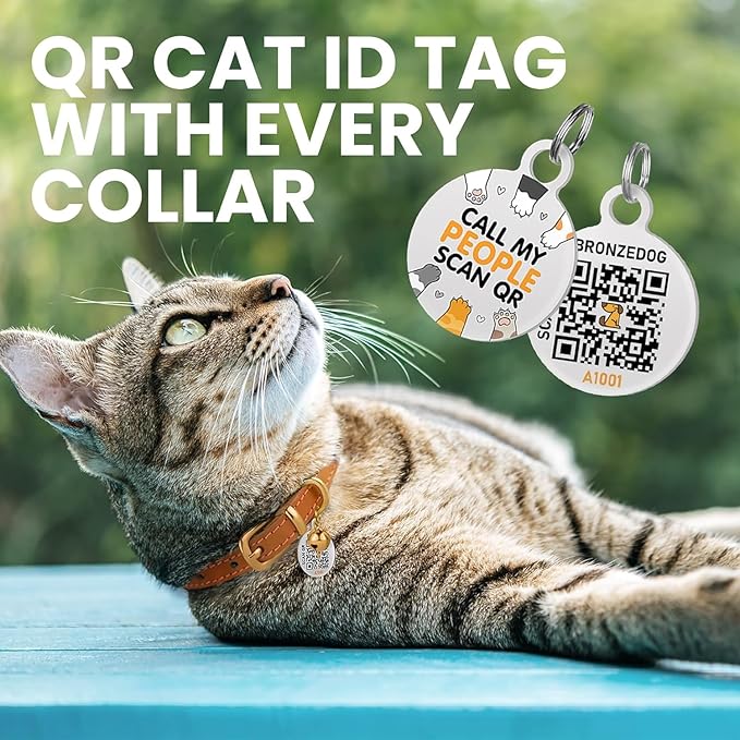 BRONZEDOG Leather Cat Collar with Removable Bells Non Breakaway Kitten QR Tag for Girl Boy (9" - 12" Cats/Mini Dogs, Green & Silver)