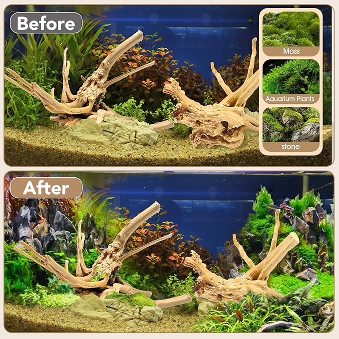 Jorewood Natural Large Spiderwood Driftwood for Aquarium Decor Rptile Fish Tank Decoration Assort Branch 13-16'' Pack of 1