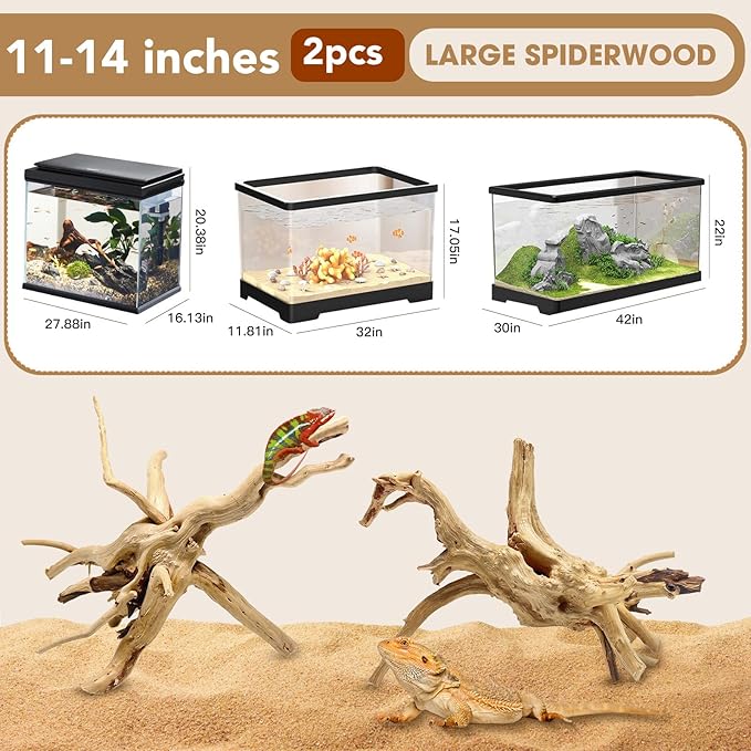 Jorewood Natural Large Spiderwood Driftwood for Aquarium Decor Rptile Fish Tank Decoration Assort Branch 11-14'' 2 Pcs
