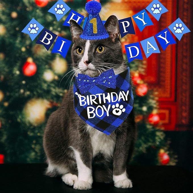 STMK Cat Birthday Party Supplies, Cat Birthday Hat with Numbers Bandana Bow Tie Collar Banner for Cats Kittens Birthday Outfit Decorations