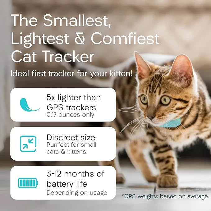 Tabcat V2 Cat & Kitten Tracker - No Monthly Subscription Fee | 4 Lightweight Homing Tags, Cases & Tracking Handset | More Accurate Than GPS | Track 4 Cats Indoors & Outdoors to 1" & 500 ft Range
