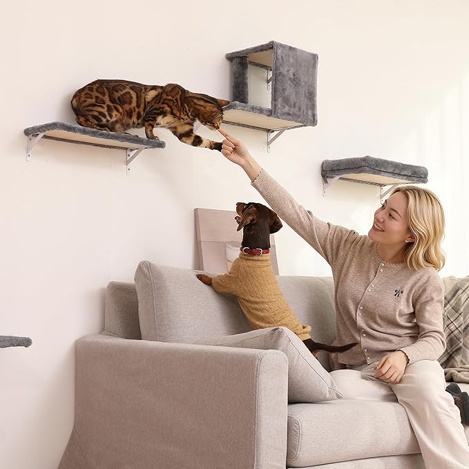 FUKUMARU Cat Wall Shelves, Stable & Safe 4 in 1 Cat Wall Mounted Furniture Set, Wooden Climbing Tree with Scratching Post for 16 Inch Drywall - Gray