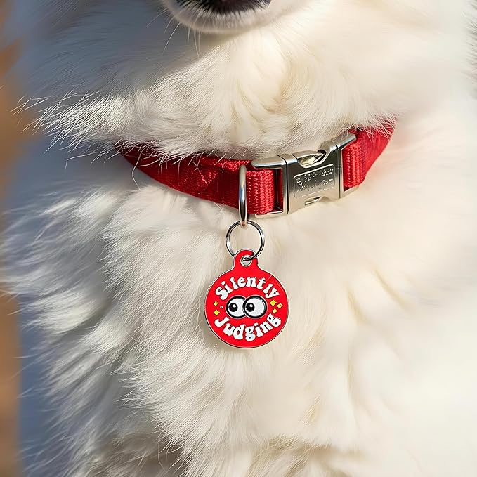 Bad Tags Personalized Dog and Cat ID Tags in 25+ Designs and 2 Sizes - 5 Lines of Custom Engraved Text - Funny Cute Personalized Pet Tags (Silently Judging - Red, Large (1.25 inch))