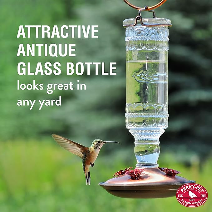 Perky-Pet Antique Glass Bottle Hummingbird Feeder - Outdoor Garden Décor Hummingbird Feeder - 8107-1SR - 10 Fl Oz Nectar Capacity - Durable Humming bird Feeder for Backyards, Porches, Decks, Hooks