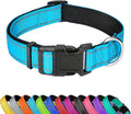 Reflective Dog Collar, Adjustable Soft Neoprene Padded Nylon Pet Collars with Buckle for Extra Large Dogs, Sky Blue,XL