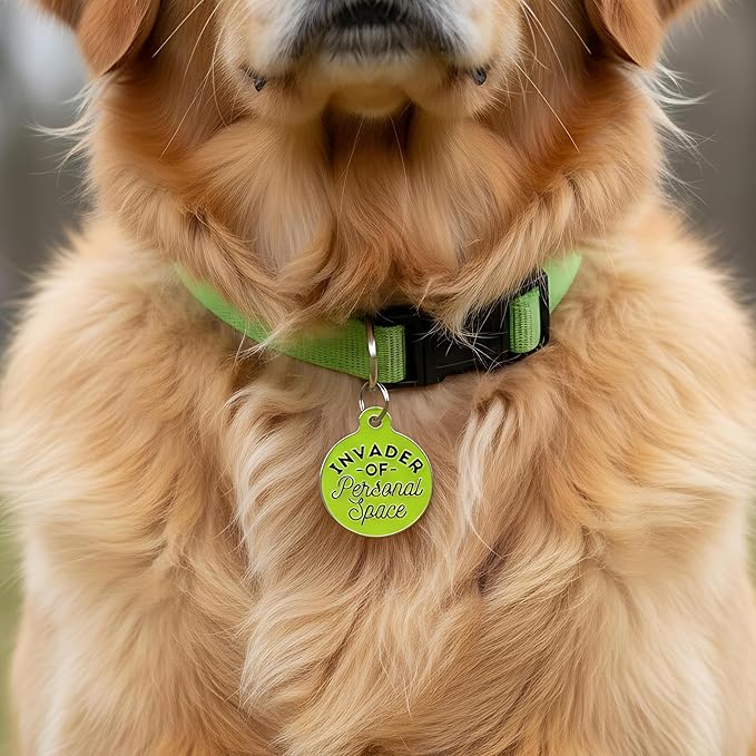 Bad Tags Personalized Dog and Cat ID Tags in 25+ Designs and 2 Sizes - 5 Lines of Custom Engraved Text - Funny Cute Personalized Pet Tags (Invader of Personal Space - Green, Small (1 inch))