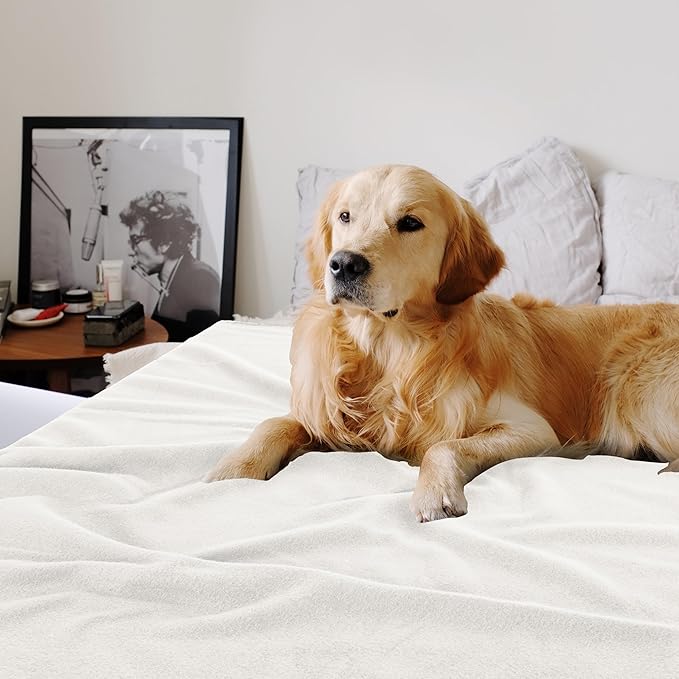 Fleece Throw Blankets Bulk Fleece Blankets Solid Wholesale Lightweight Warm Soft for Pet Bed Sofa Couch Office Wedding Gifts Travel Seasons White 50x60 Inches Pack of 6