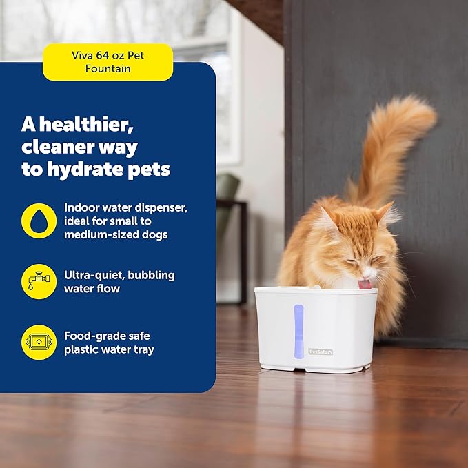 PetSafe Viva Pet Fountain - Encourages Healthy Hydration - Automatic Water Dispenser with Double Filtration - Ultra Quiet Water Fountain - Easy to Assemble & Clean - Stainless Steel - 64 oz