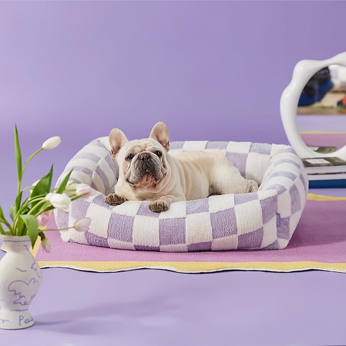 LE SURE Cute Dog Bed for Medium Dogs - Washable Pet Beds,Cozy Rectangle Orthopedic Sofa with Jacquard Shaggy Plush & Anti Slip Bottom,30x24x8inches
