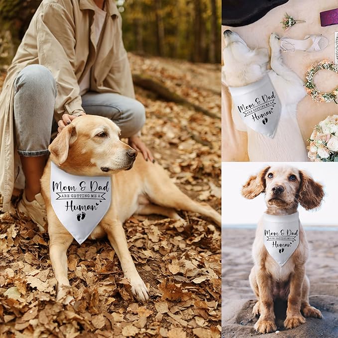 Mom & Dad are Getting Me a Human Dog Bandana Pregnancy Announcement for Parents Cool Gender Reveal Ideas Photo Props Pet Dog Scarf Accessories