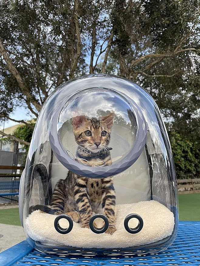Pet Carrier Backpack for Kitten, Small Puppy and Bunny, Backpack for Kitten, Space Capsule Bubble Cat Backpack Carrier, Airline Approved Waterproof Green Pet Backpack for Small Dog (Pink)