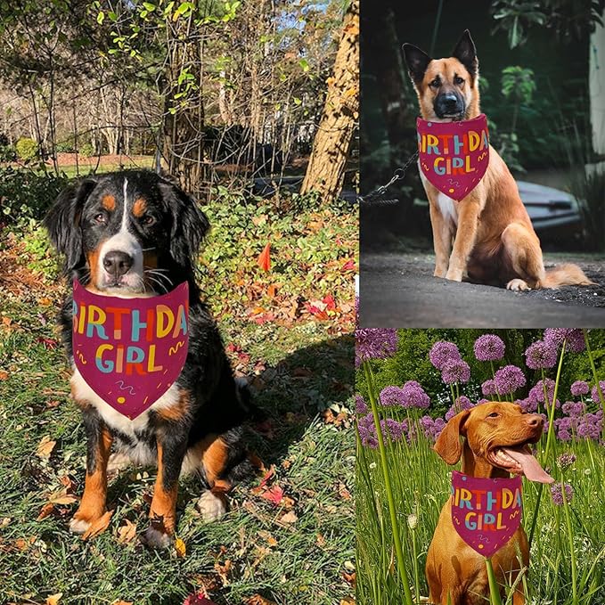 Dog Birthday Party Supplies Dog Birthday Girl Bandanas Party Pet Supplies Triangle Scarf Accessories and Decoration for Small Medium Large Dogs