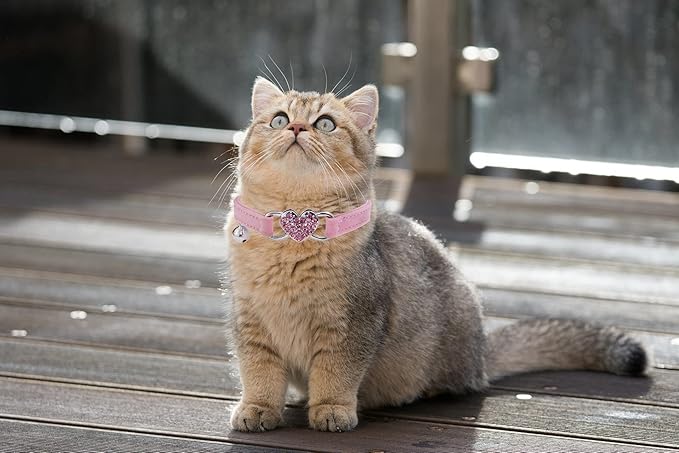 Heart Bling Cat Collar with Safety Belt and Bell Adjustable 8-10 inches for Kitten Cats (Black+Pink)
