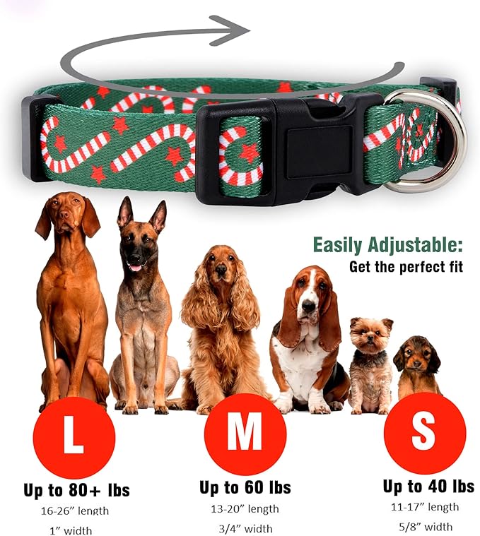Native Pup Christmas Dog Collar- Winter Holiday Collars for Pets- Xmas Gift for Puppy- Santa, Reindeer, Snowman, Candy Cane, Red Green- Girl Boy- Small, Medium, Large Breeds (Candy Cane, Medium)
