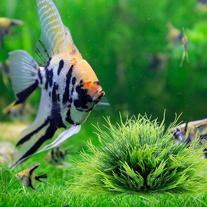 2pcs Aquarium Plants Decorations Artificial Fish Tank Plants Plastic Fish Tank Accessories Green Natural Style Aquarium Plants