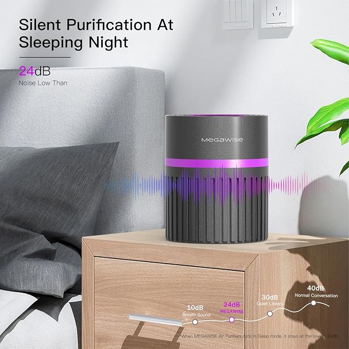 MEGAWISE H13 HEPA Air Purifier for Home, Bedroom & Office | 3-Stage Filtration for Smoke, Dust, Pet Dander | Quiet & Ozone-Free