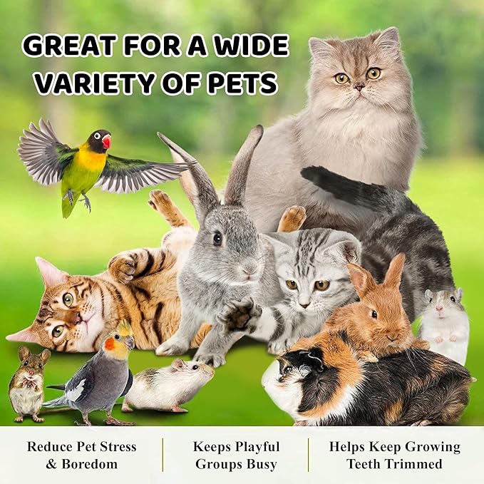 SunGrow Assorted Rabbit Chew Balls, Teething Activity Toy for Pocket Pets, Improves Dental Health, Environment Friendly, Stress Reliever (Assorted, 3 Pcs)