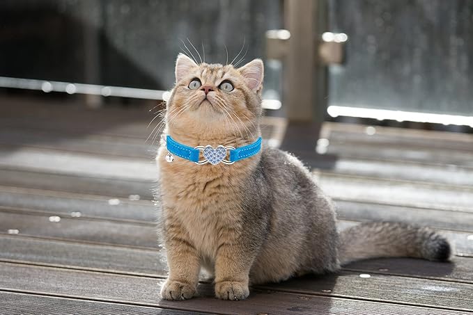 Heart Bling Cat Collar with Safety Belt and Bell Adjustable 8-10 inches for Kitten Cats (Blue)