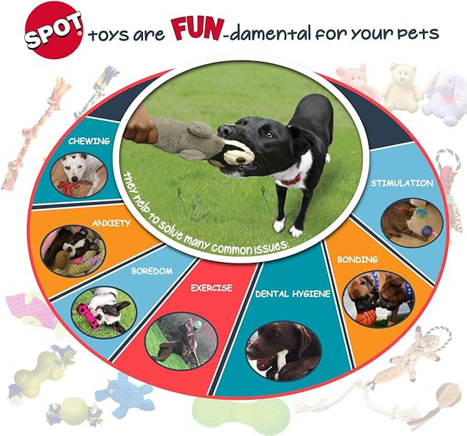 SPOT Sensory Ball Dog Toy for Soft Chewers – 3.25-Inch Durable TPR Rubber Ball with Squeaker and Bell, Textured for Gentle Chewing, High-Contrast Colors for Indoor & Outdoor Fetch Play