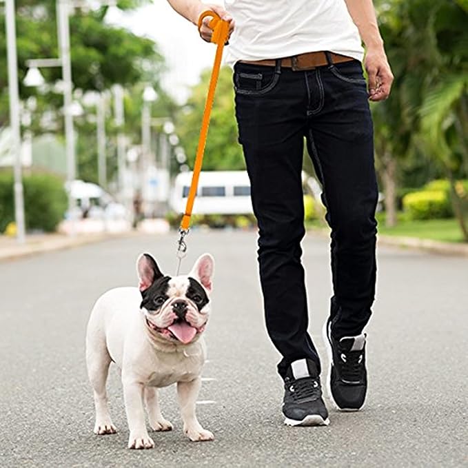 Long Dog Puppy Obedience Recall Training Agility Lead, Leash - ORANGE, 20' Foot - by, Downtown Pet Supply