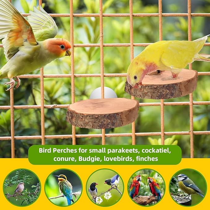 4PCS Natural Wood Round Bird Perch Platform for Cage - Parrot Perch Stand for Conures, Cockatiels, Budgies, Lovebirds, Parrotlets, Small Bird Cage Accessories