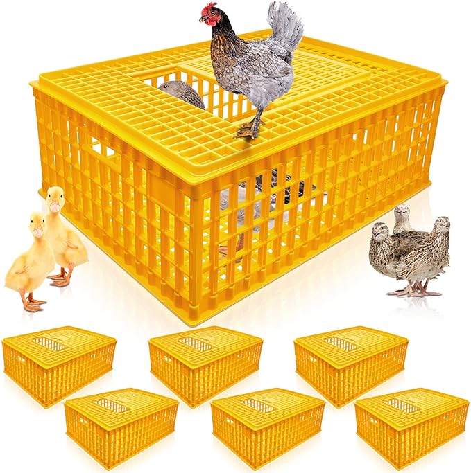 Sintuff Poultry Carrier Crate Plastic Chicken Transport Cage Bird Carriers Chickens Carrier Travel Crate Basket Box for Poultry Chicken Bird Duck Goose, 29.5 x 21.7 x 11.6 Inch(6 Pcs)