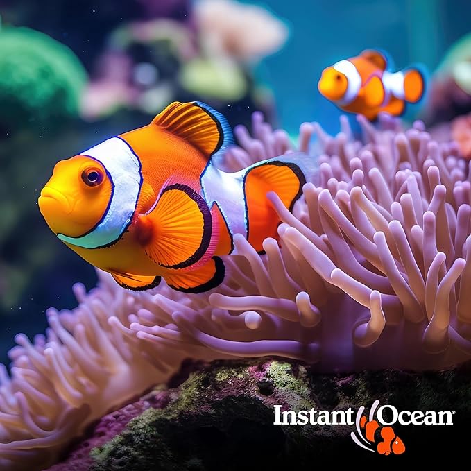 Instant Ocean Sea Salt for Marine Fish Tank Aquariums, Nitrate & Phosphate-Free