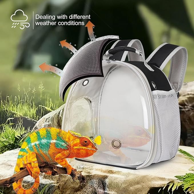Guinea Pig Backpack Carrier, Bearded Dragon Carrier Backpack with Clear Bubble Window,Small Animal Travel Backpack for Hedgehog Rat Parrot,Rabbit,Sugar Glider,Airline Approved(Black, Backpack)