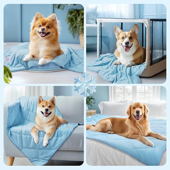 Luciphia Premium Cooling Dog Blanket for Small Medium Dogs Q-max>0.4 Washable Self-Cooling Cat Pet Mat Puppy Breathble Calming Throw for Beds Couches (Blue,60x80 inches)
