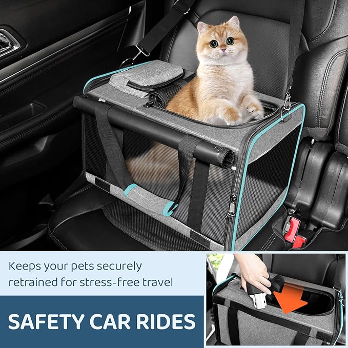 Soft-Sided Pet Carrier for Air Travel 18x11x11 Inch - Underseat Cabin Carry Bag for Small Cats & Dogs Under 15 lbs