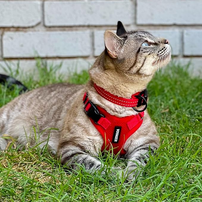 Voyager Escape-Proof Step-in Lock Cat Harness & 5ft Neoprene-Handle Leash Set All-Weather Mesh with Reflective Stitching for Small to Large Cats by Best Pet Supplies, Red, XXXS