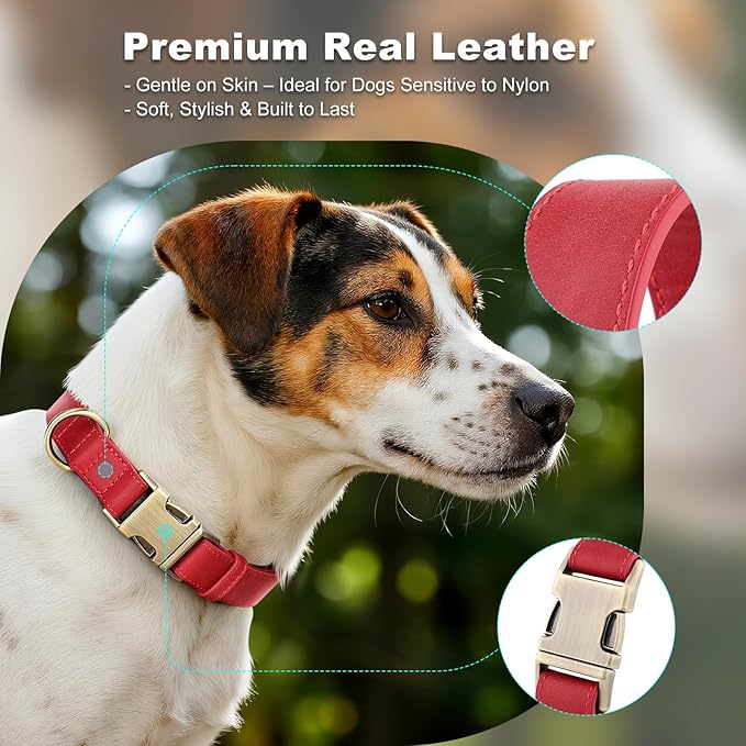 Plutus Pet Genuine Leather Dog Collar – Adjustable Pet Collar with Quick Release Metal Buckle, Soft Real Leather for Small Medium Large Dogs, Heavy Duty & Skin-Friendly (Red, XS)